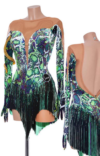 Free Australia-wide shipping.  Best price worldwide.  Velvet snake patterned latin dress with colourful fringes and fringe beads; stretch nude net insertions, open back and long glove-sleeves. Detachable gold snake element as necklace or as arm bracelet. Flourescent crystals mixed with Ab, Purple and Green Crystals all over the dress. Built in cups and leotard. One of a kind on any dance floor!