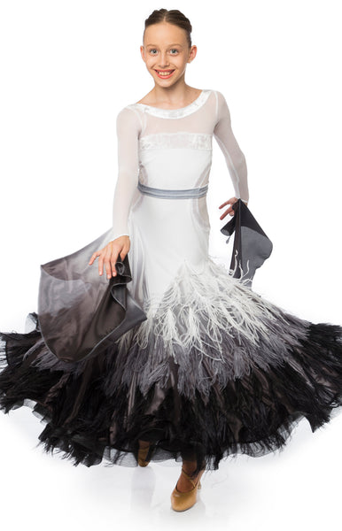 Beautiful junior ballroom dress, in shaded skirt, pearl chiffon and ostrich feather shading, top is lycra with stretch net and velvet inserts.  Wide pearl chiffon wings, detachable.