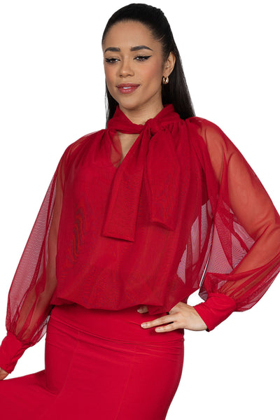Demure Powermesh Top T2410 in Various Colours | Flattering, Stretch, Loose Fit Top with Long Mesh Sleeves for Evening Wear, Dance Practice, Social Dancing, Ballroom Dance Medals and Events