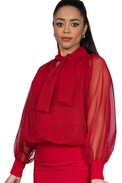 Demure Powermesh Top T2410 in Various Colours | Flattering, Stretch, Loose Fit Top with Long Mesh Sleeves for Evening Wear, Dance Practice, Social Dancing, Ballroom Dance Medals and Events