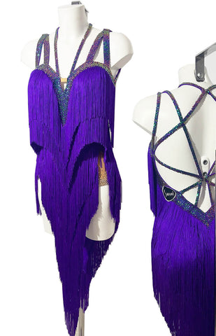 Free world-wide express shipping.  Best price worldwide.  Latin dress with dynamic long purple fringes, showing long legs and a special spider net criss-cross back, detailed with thousands of Volcano and Purple-ish Green Crystals. Bra cups and leotard built in, bracelets all included.