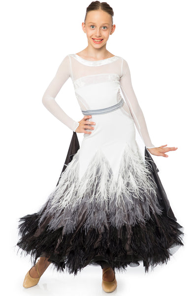 Beautiful junior ballroom dress, in shaded skirt, pearl chiffon and ostrich feather shading, top is lycra with stretch net and velvet inserts.  Wide pearl chiffon wings, detachable.